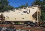 CSX 243618 (2)